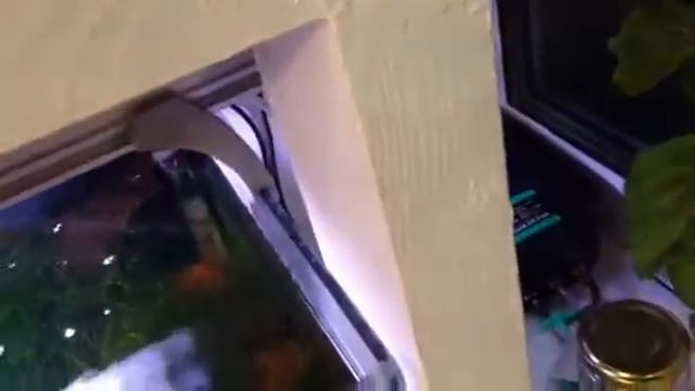 креветочник смотреть онлайн