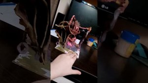 фнф гипно 3 фаза