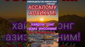 хайрли Тонг. музыка 2021 терма