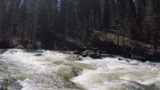 Курланские пороги. Пызас 4.05.16 смотреть онлайн