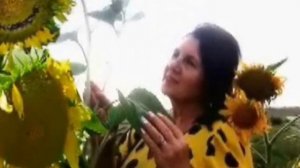 Галю ж моя, Галю