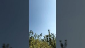 вОДа 💦 или чо 🤣 новости