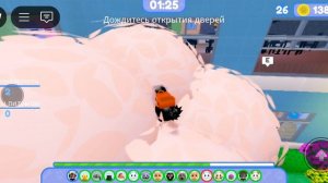 побег питомца