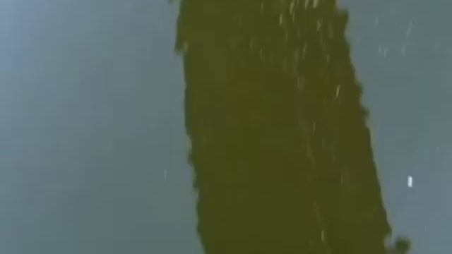 Шу с камерой смотреть онлайн