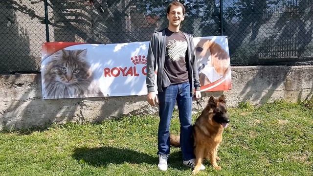 සර්බියානු සංචාරයේ හමු වූ ඉතාම තරුණ German Shepherd Breeder. смотреть онлайн