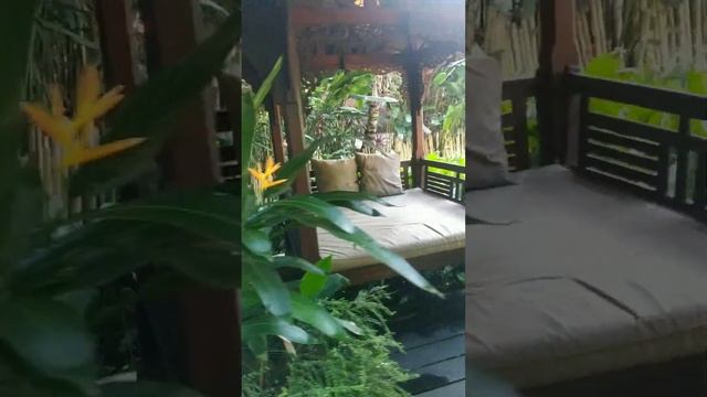 Yoga barn ubud | walkthrough the famous yoga campus | Bali