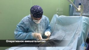 Дисплазия тазобедренного сустава у кошки