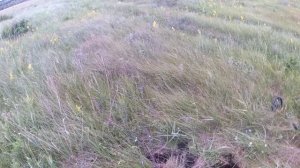 Коп Металлолом архив 22 Июня 2024 г, Добываем металл из бетона