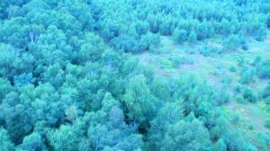 Воздухоплавание Фильм