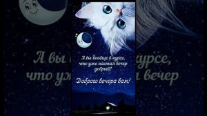 Добрый вечер.