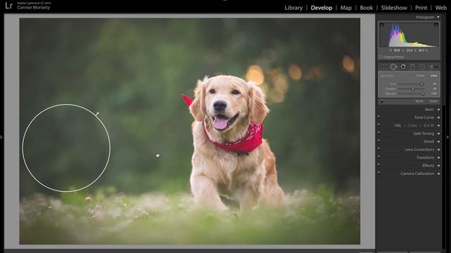 How to edit photos in Adobe Lightroom Classic 2021 | Lightroom 101: Episode 2 смотреть онлайн
