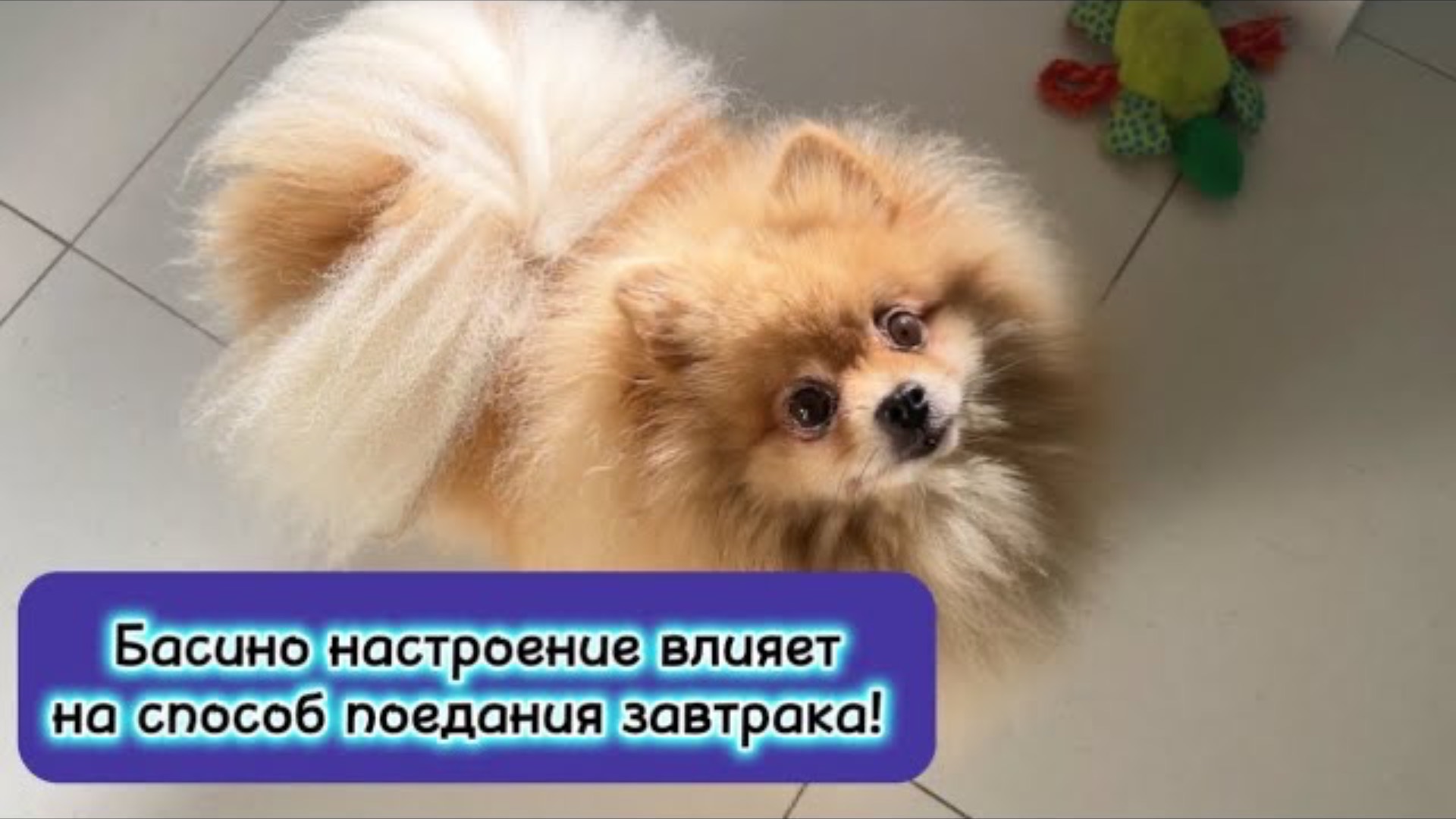 Басино настроение влияет на способ поедания завтрака!