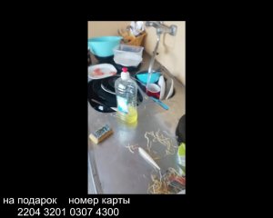 Мою посуду день не добрый