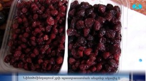 Как правильно заготовить армянский чир (сухофрукты) Նինոծմինդայում չրի պատրաստման սեզոնը սկսվել է