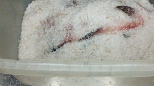 ЛЕЩ ХОЛОДНОГО КОПЧЕНИЯ