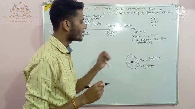 Romanowsky stain in hindi || Leishman stain || Composition || Principle || Procedure || staining смотреть онлайн