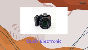 Unleashing the Leica V-Lux 5 Superzoom: A Comprehensive Review