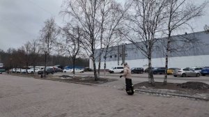 Лось и Ханой 250125