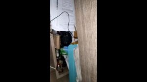 descontração com a kss 213C