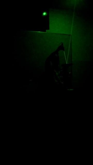 Reflection of light #science #cbse #physics #light #reflection смотреть онлайн