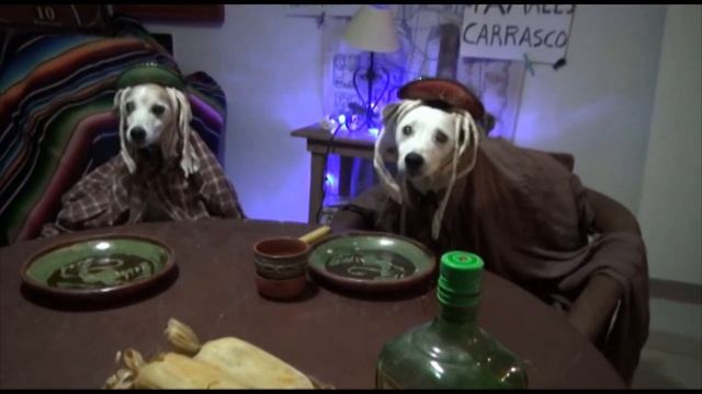 'Tamale Christmas' with the Family - Joe King Carrasco y El Molino смотреть онлайн