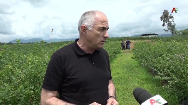 Амшеикәшара 23.06.2022 смотреть онлайн