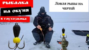 Попали на жор окуня в Глухозимье 2024 Рыбалка зимой в январе Разведка новой локации и поиск окуня