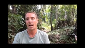 Что происходит во время сеанса удаления чакры? Тони Сэйерс