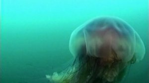 2003 г._Время путешествия - 20 минут