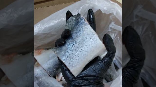 Хвосты форели и сёмги