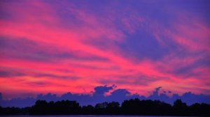 Kungs - Never Going Home (Lyrics Video)