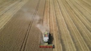 Агрофирма КОЛОС 2021