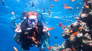 Плаваем под водой в дайвинге В красном море в Египте