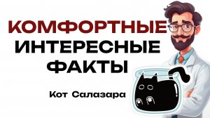 КОМФОРТНЫЕ ИНТЕРЕСНЫЕ ФАКТЫ