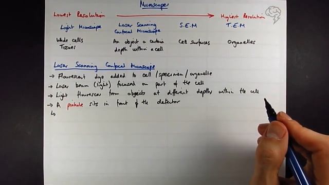 Microscopes | A Level Biology Tutorial | OCR