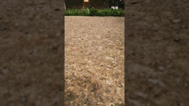 Лагерь Басиков. (1 серия) смотреть онлайн