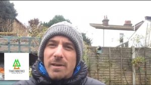 Топ-5 преимуществ удаления чакр. Тони Сэйерс