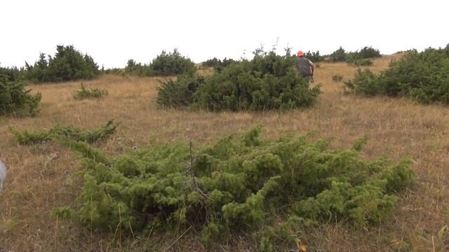 Franchi Experience 2021 - A caccia ed al poligono con le armi Franchi смотреть онлайн