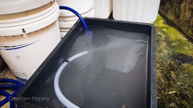 Microbubble Generator Tes Pompa Shimizu PS 116 Bit 125 Watt | Hasil JOSS !!! смотреть онлайн