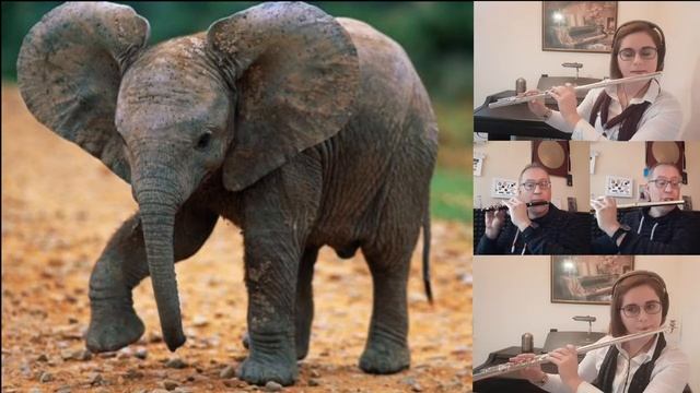 Baby Elephant walk (Henry Mancini) - flute cover смотреть онлайн