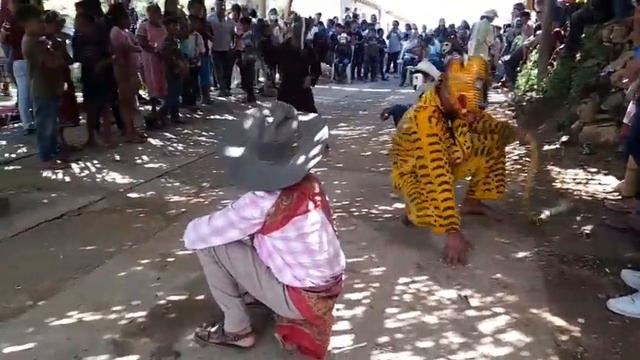 Danza del Tigre de Cozoyoapan, El Tigre 25-07-2022 Parte 9 смотреть онлайн