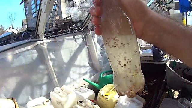 Мгновенный http://vermitechnologii.ru/ посев редиски 04.04.2016. 1 смотреть онлайн