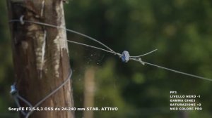 sony FE F3,5-6,3 OSS da 24-240 mm