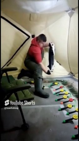 Белуга за жопу на 10 кг еле вытащил.Самое главное извинился.