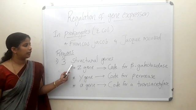 MOLECULAR BASIS OF INHERITANCE IN MALAYALAM/CLASS12 ZOOLOGY ONLINE CLASS/SWAGIDASBIOCLASS