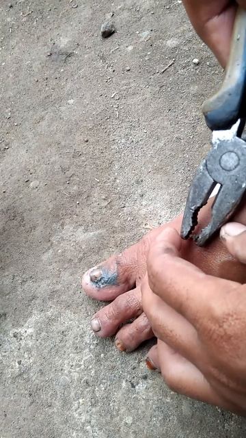 Viral,penyabutan duri ikan patin pake tank dan gunting