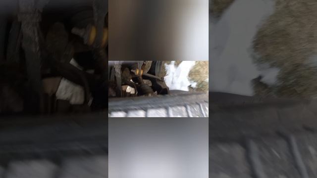 YouCut_20250125_184323652 смотреть онлайн