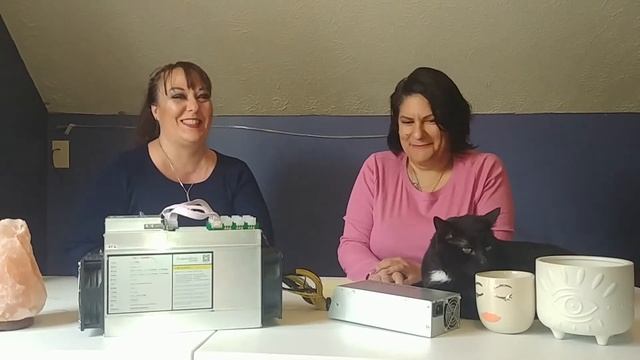 The BTC Show Ep 13 - DASH смотреть онлайн