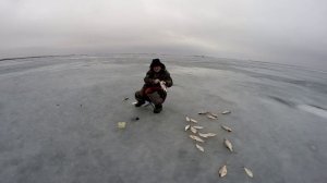 Варим кашу для зимнего закорма под леща  Часть 2 Зимняя рыбалка подсказки от Юрия Философа.