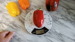 Сладкий перец  Обзор